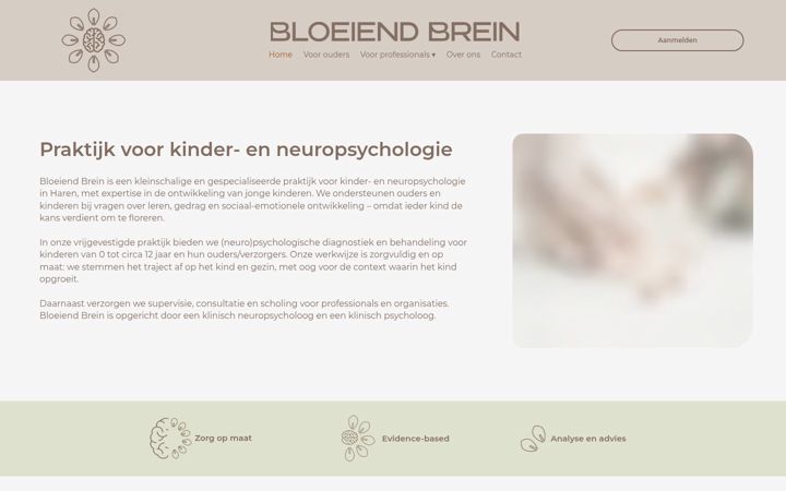 Capture d'écran de bloeiendbrein.nl