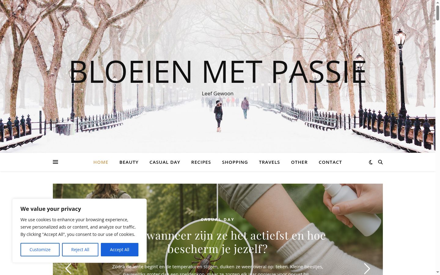 Screenshot of the consent banner shown before any interaction
