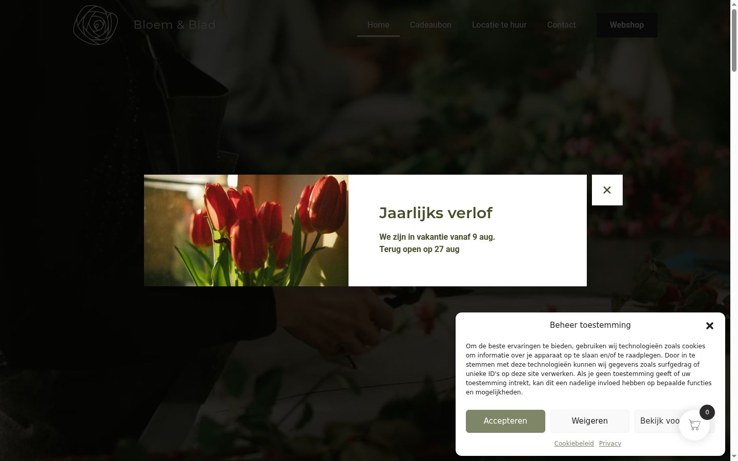 Screenshot des Einwilligungsbanners vor jeglicher Interaktion