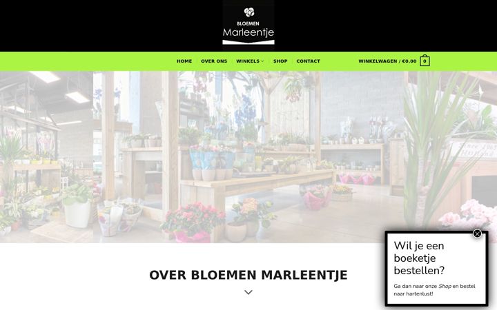 Screenshot of bloemenmarleentje.be