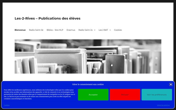 Screenshot of blog-cdi-les-2-rives.fr