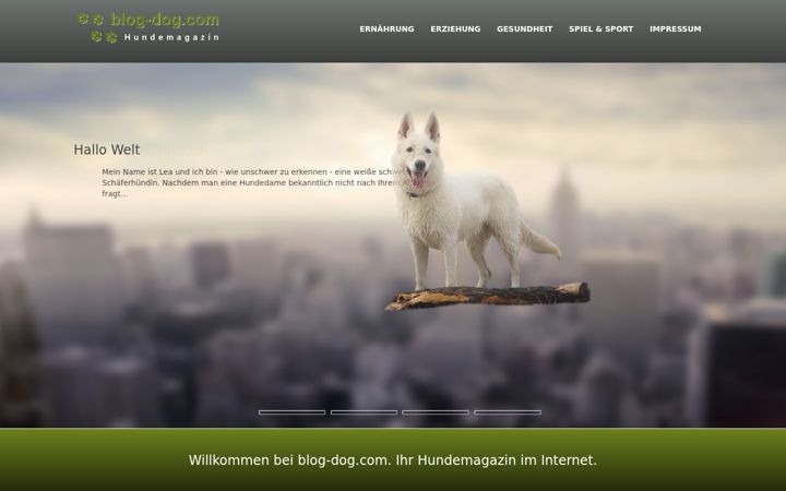 Snimka zaslona za blog-dog.com