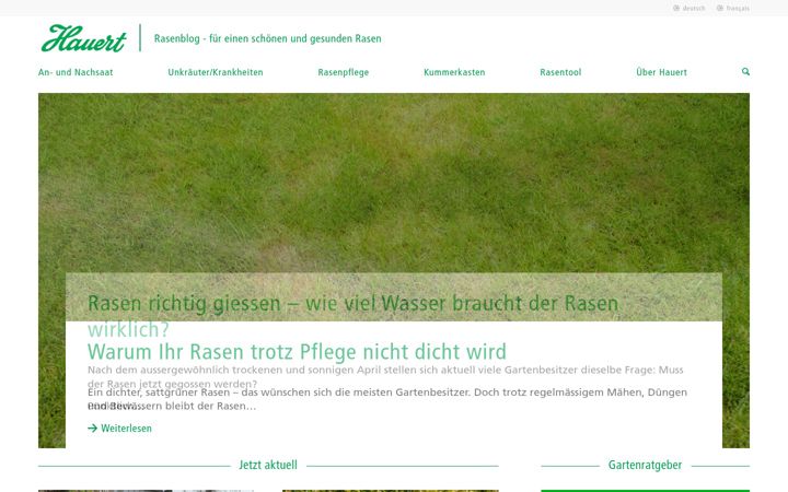 Zrzut ekranu blog-gazon.com