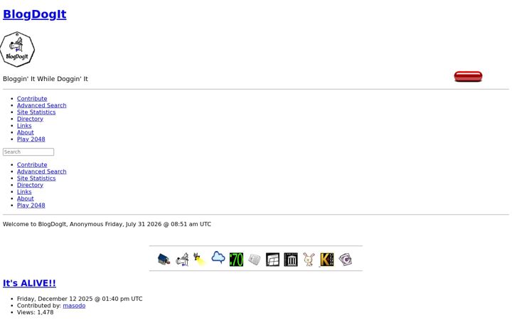 Screenshot of blogdogit.com