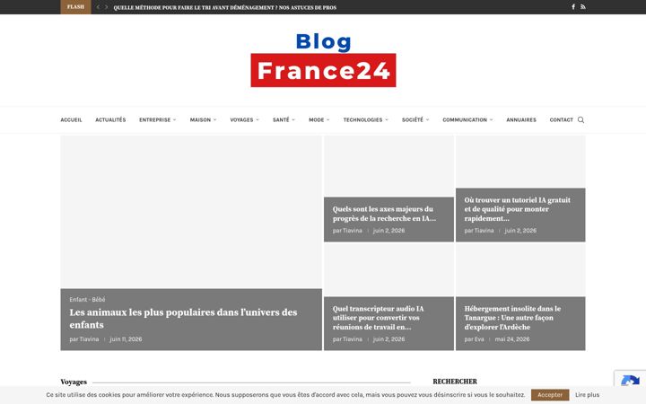 Screenshot di blogfrance24.com