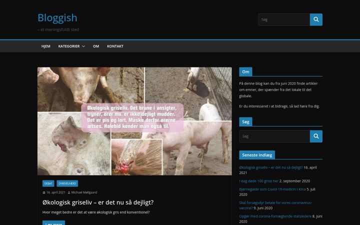 Képernyőkép: bloggish.dk