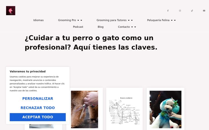 Screenshot of bloggroomer.es