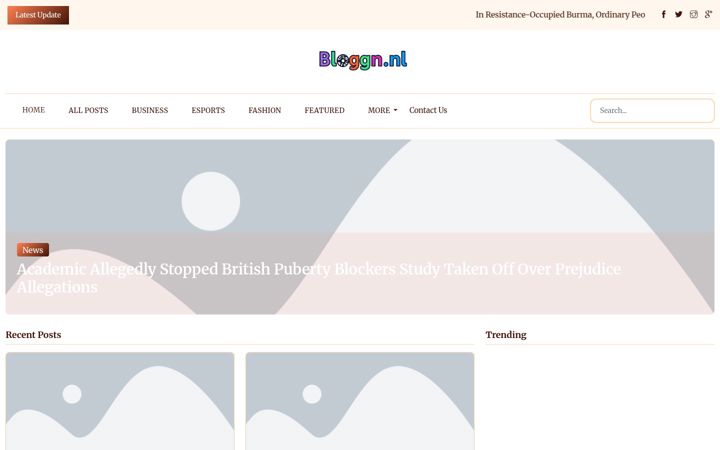 Screenshot of blognl.nl