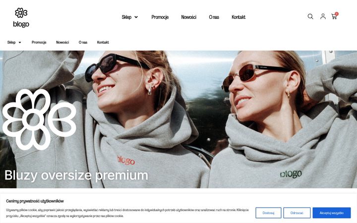 Screenshot of blogo-store.com