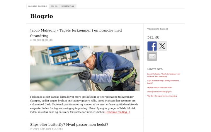 Screenshot of blogzio.dk