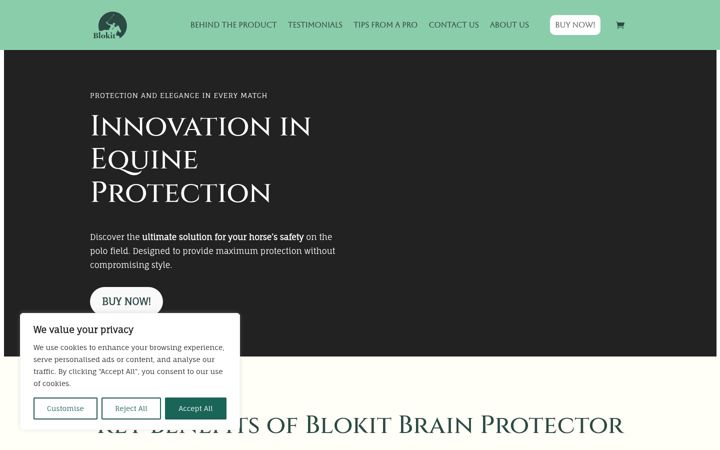 Screenshot of blokitpolo.com