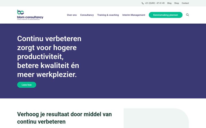 Screenshot of blomconsultancy.nl