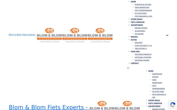 Screenshot ta' blomtweewielers.nl