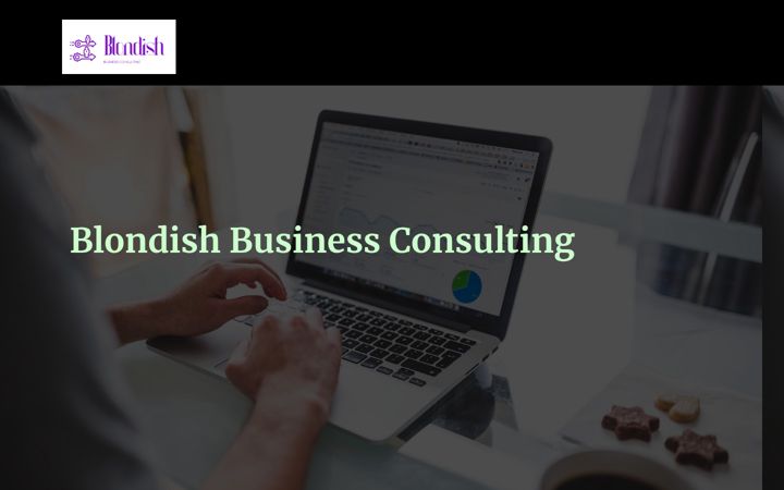 Screenshot of blondishbus.com