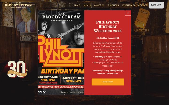 Screenshot of bloodystream.ie