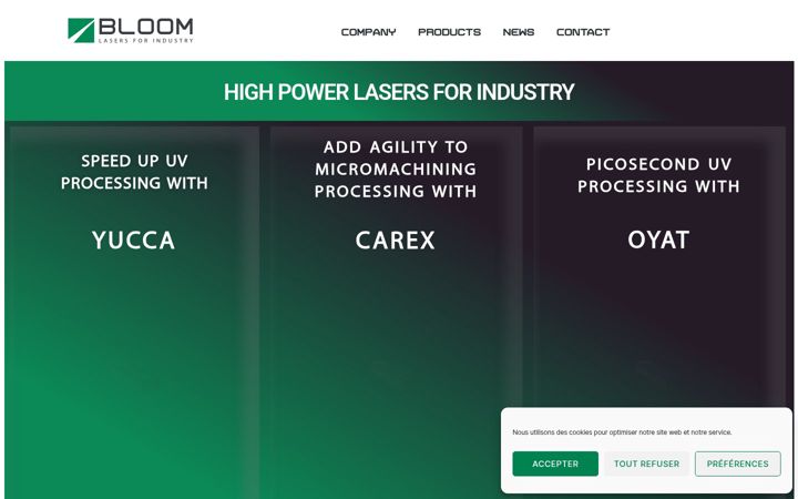 Ekrano kopija bloom-lasers.com
