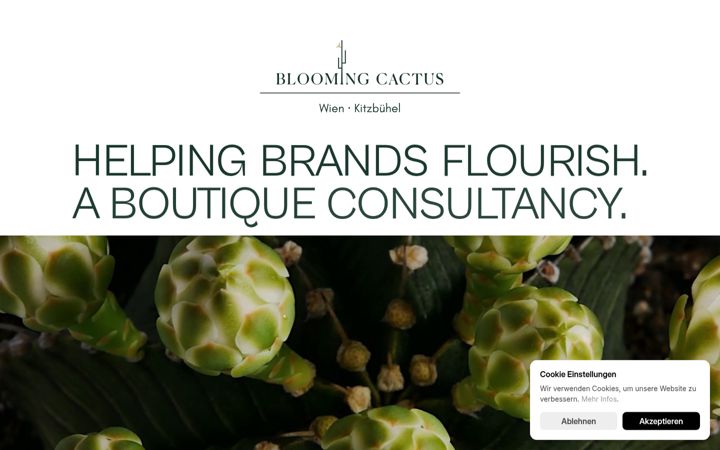 Posnetek zaslona blooming-cactus.com