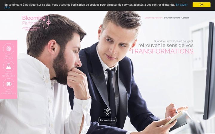 Screenshot of blooming-partners.fr