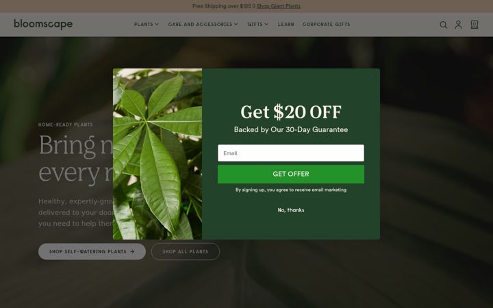 Screenshot of bloomscape.com