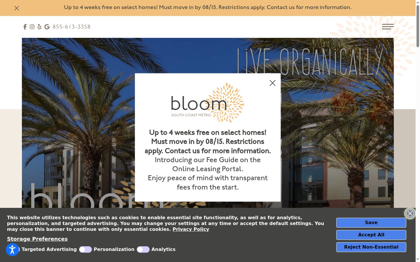 Screenshot of the consent banner shown before any interaction