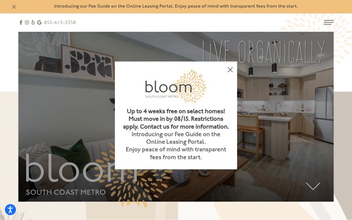 Screenshot of bloomsouthcoast.com