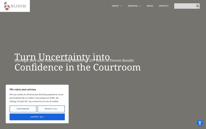 Screenshot of bloomstrategy.com