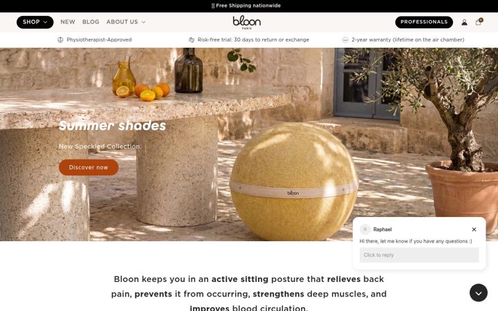 Screenshot of bloon-paris.com