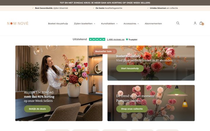 Screenshot of bloshing.com