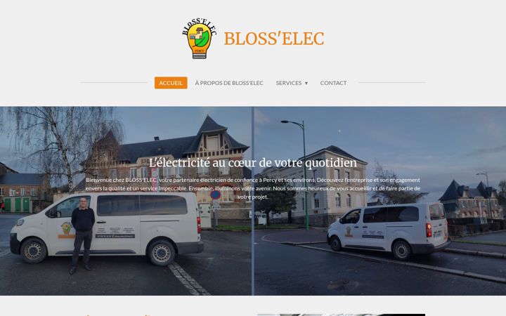 Screenshot of blosselec.fr
