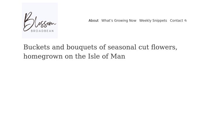 Screenshot of blossombroadbean.com
