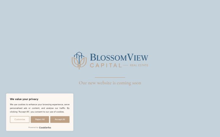 Screenshot of blossomviewcapital.com