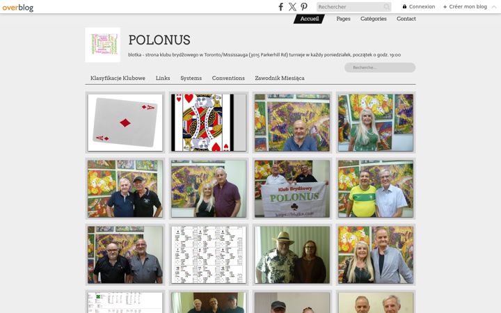 Screenshot of blotka.com