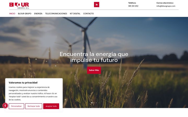 Képernyőkép: blourgrupo.com
