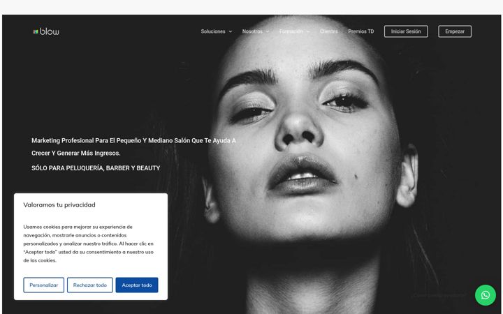 Screenshot of blow.marketing