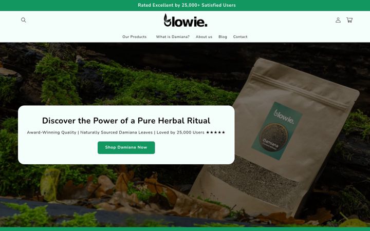 Screenshot of blowie.eu