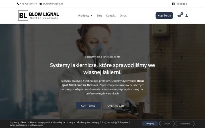 Captura de pantalla de blowlignal.pl