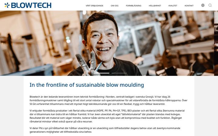 Screenshot of blowtechgroup.com