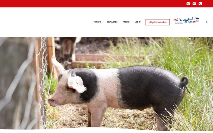 Zrzut ekranu blsh-net.de