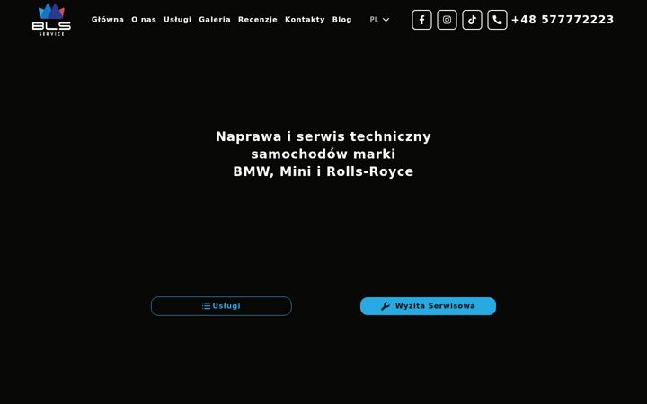 Screenshot of blsservice.pl