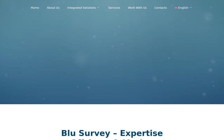 Ekrano kopija blu-survey.com