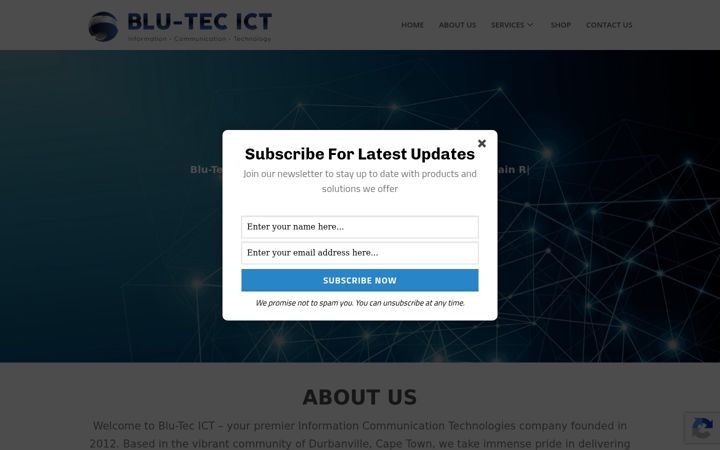 Screenshot of blu-tec.co.za