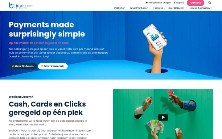 Screenshot of blubeempayments.nl