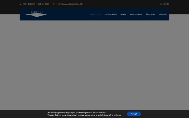 Snímek obrazovky blucron.com