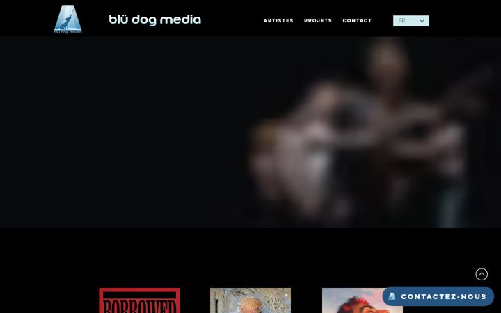 Captură de ecran a bludogmedia.ca