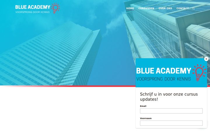 Snímek obrazovky blue-academy.nl