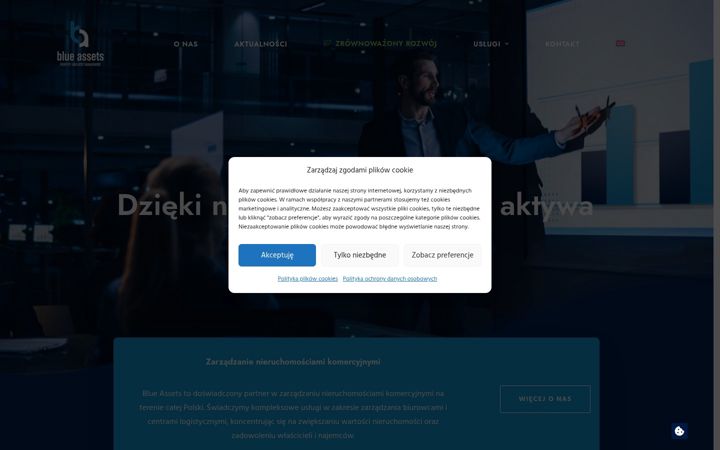 Screenshot του blue-assets.com