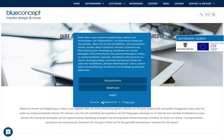 Screenshot του blue-concept.com