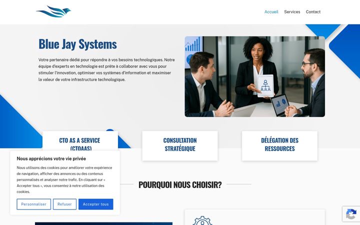 Screenshot of blue-jay-systems.com