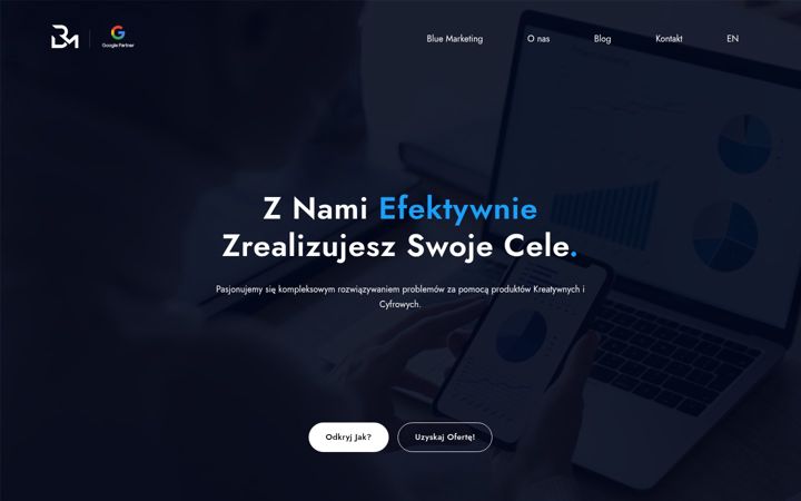 Screenshot of blue-marketing.pl