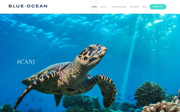 Ekrānuzņēmums no blue-ocean.media